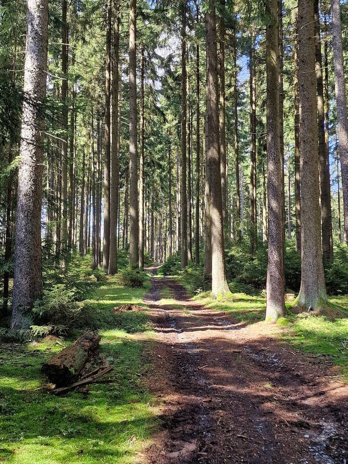 Ferienhaus „Forest Stay im Alten Zollhaus“ mit Wlan in Rehau, Landkreis Hof