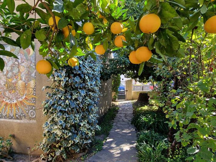 Casa en Banyuls-sur-Mer, cerca de playa y comercios, con aire acondicionado arriba in La Côte Vermeille, Banyuls-sur-Mer