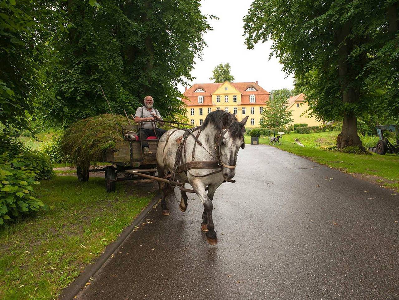 Schloss Lühburg - Wohnung Mamsell in Lühburg, Mecklenburgische Ostseeküste