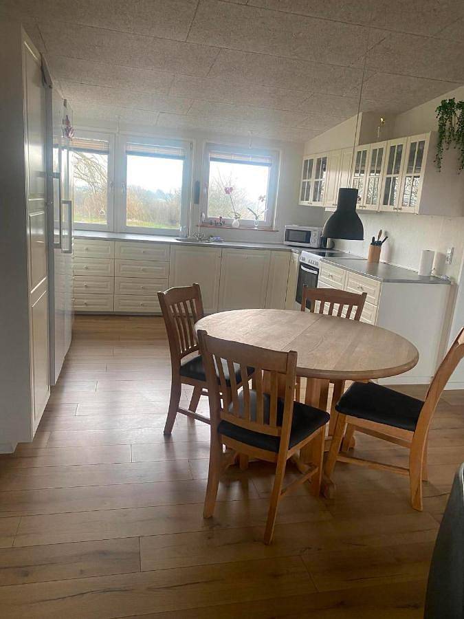 Ferienhaus für 5 Personen, mit Balkon und Whirlpool sowie Terrasse und Garten in Tondern - 3