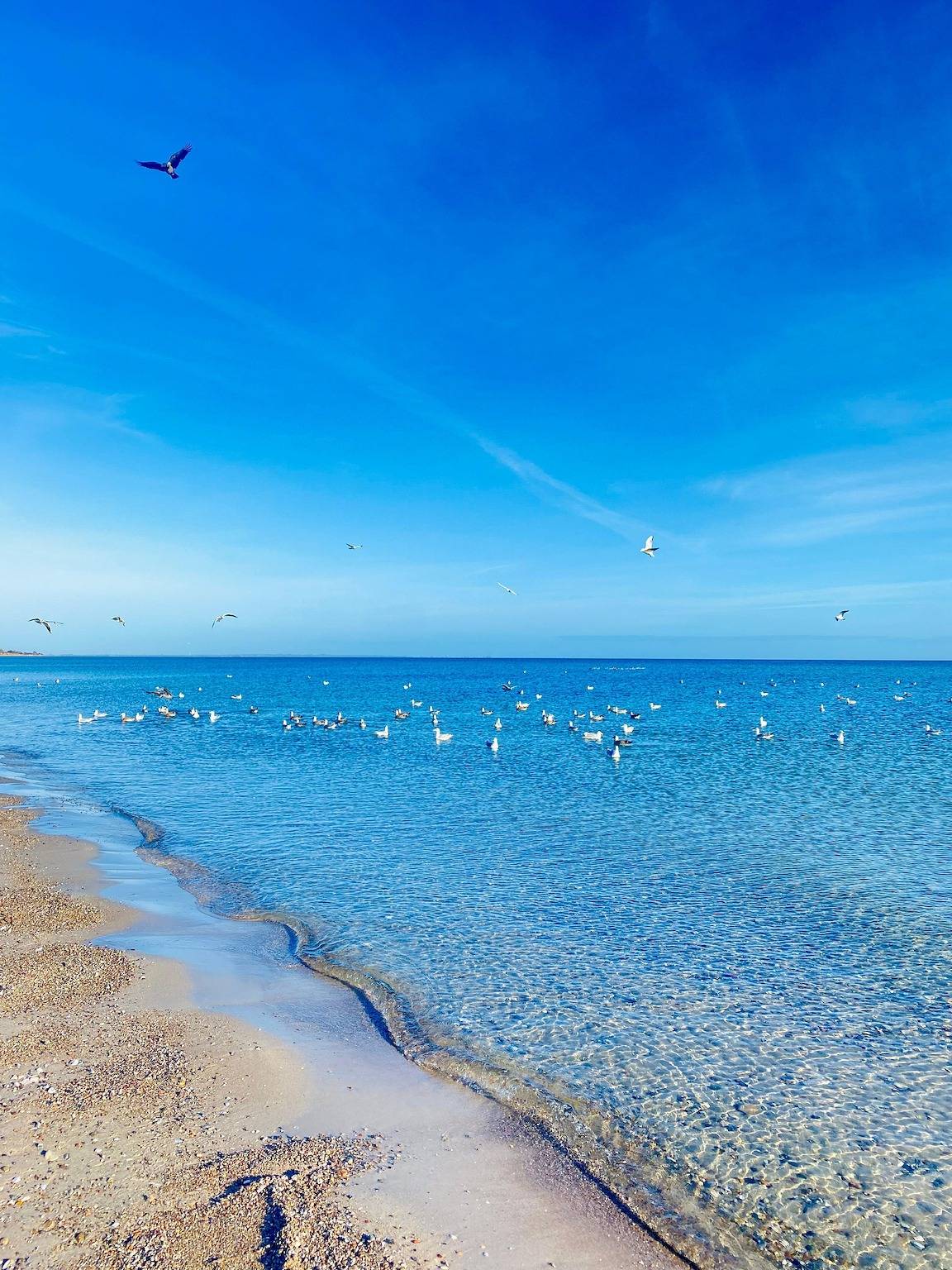 Ganze Ferienwohnung, Ferienwohnung Jasmin Ostsee in Maasholm-Bad, Maasholm