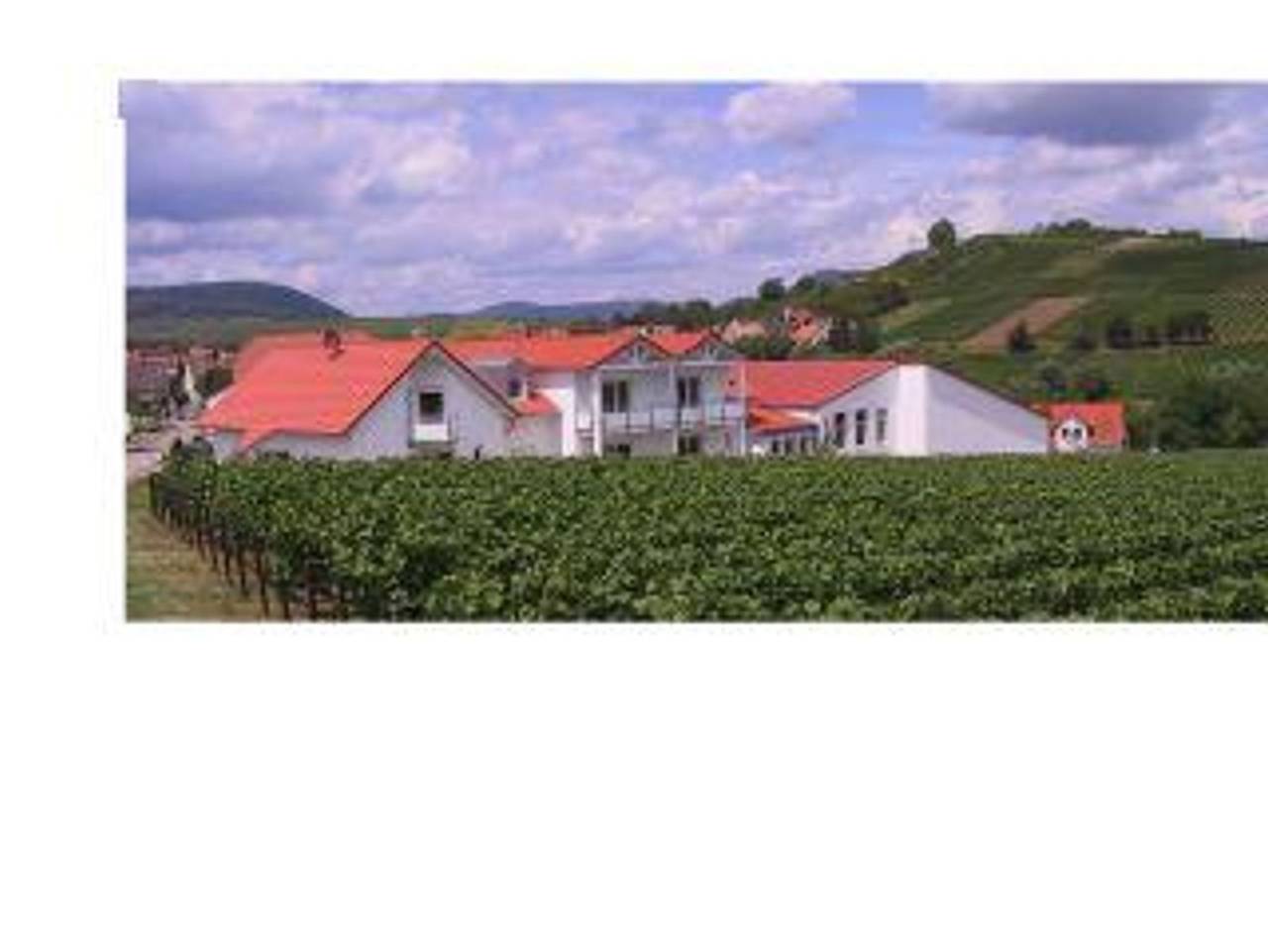 Weingut-Gästehaus Hans Dieter Bosch - Suite "2a" in Ilbesheim bei Landau in der Pfalz, Südliche Weinstraße