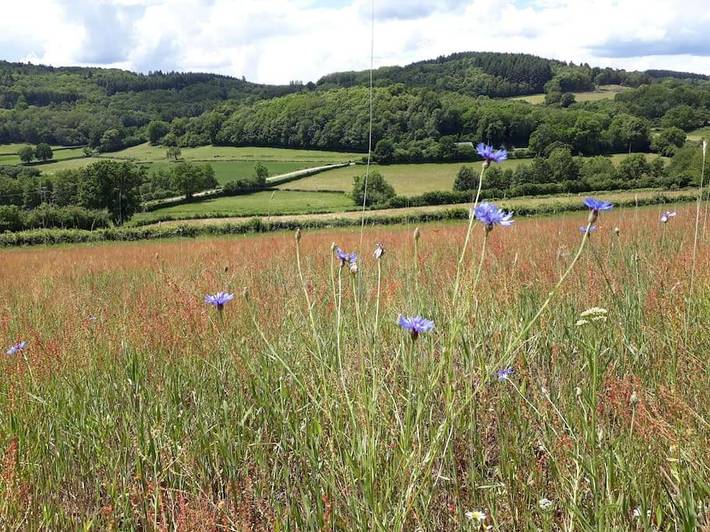 Location de vacances pour 2 personnes, avec jardin et vue à Cussy-en-Morvan - 4