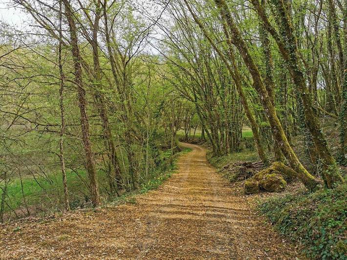 Gîte pour 2 personnes, avec jardin à Valojoulx - 3