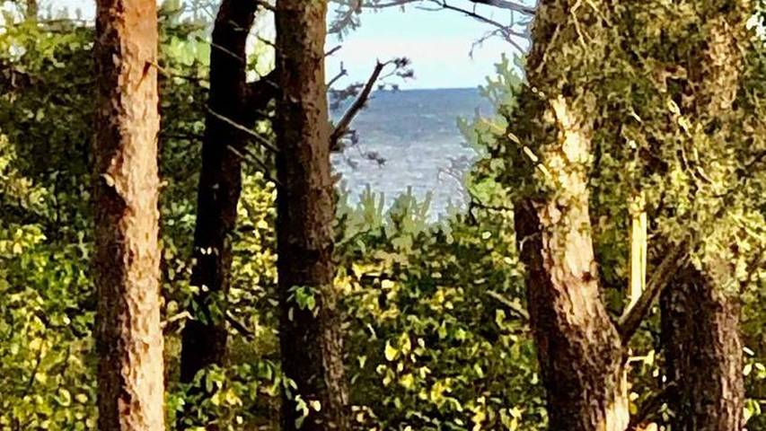 Ferienwohnung für 3 Personen, mit Terrasse, mit Haustier in Karlshagen - 4