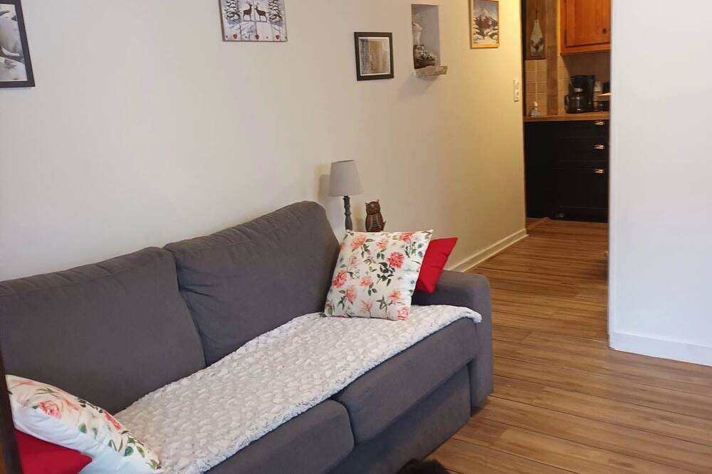 Appartement entier, Le chant de la rivière en Chartreuse in Saint-Pierre-d'Entremont, Isère