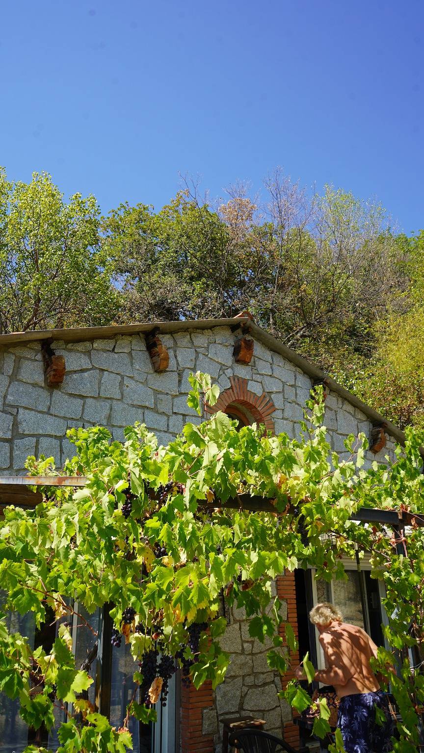 Maison de vacances El Casot Alt – Vue montagne, nature & confort en famille à Mosset in Mosset, Parc naturel régional des Pyrénées catalanes