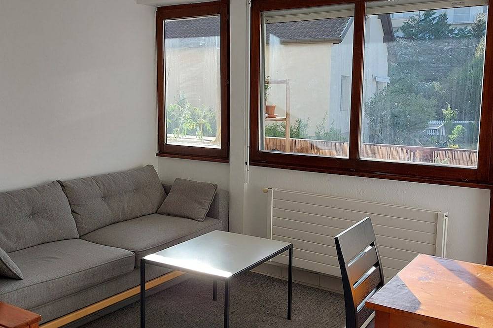Ganze Wohnung, Appartement Lumineux au Calme Avec Balcon Tout Proche de Genève in Gaillard, Saint-Julien-en-Genevois und Umgebung