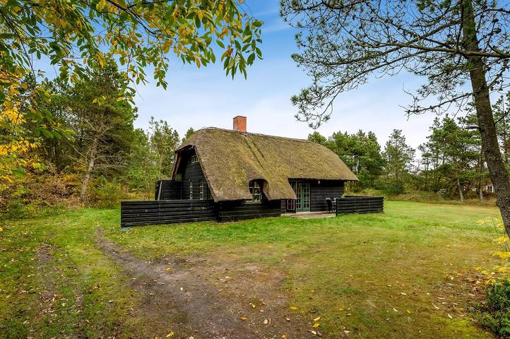 Ferieudlejning for 6 personer, med terrasse, husdyr tilladt i Vedersø Klit