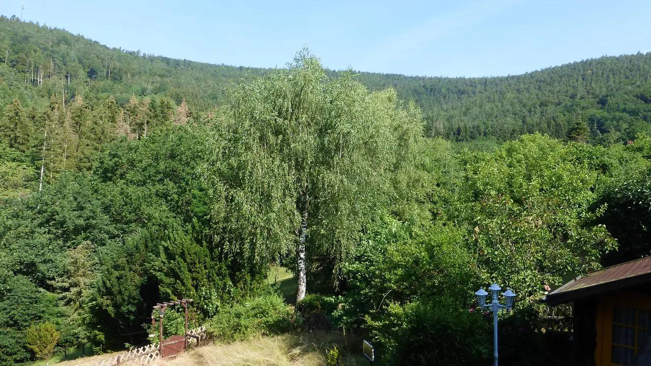 Ganze Ferienwohnung, Ferienwohnung für 2 Personen (50 m²) in Kirchzell in Kirchzell, Main-Odenwald