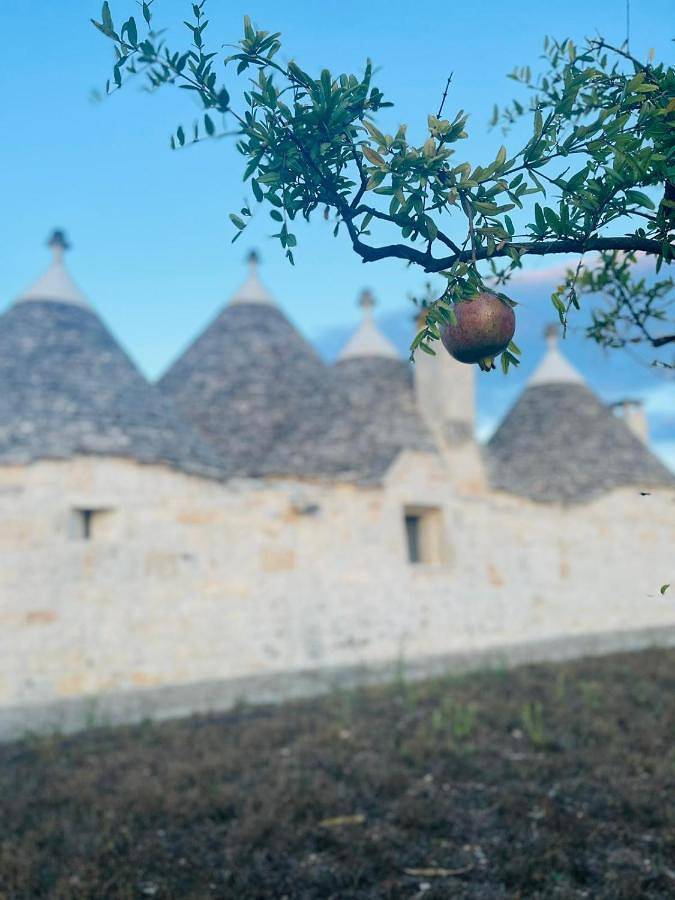 Maison d’hôte pour 2 personnes, avec jardin et terrasse à Locorotondo - 4