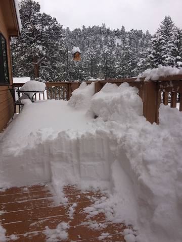 Log Cabin for 5 Guests in Estes Park, Rocky Mountain National Park, Picture 1