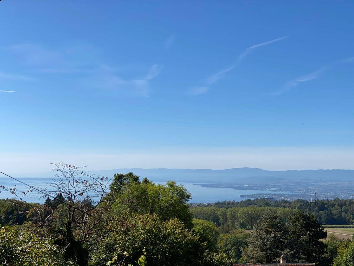 Petite maison à l'orée des bois vue sur le lac calme et zénitude in Belmont-sur-Lausanne, Lac Léman