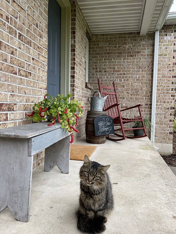 Remodeled country home in neighborhood with Amish farms, fire pit in back yard in Lebanon County