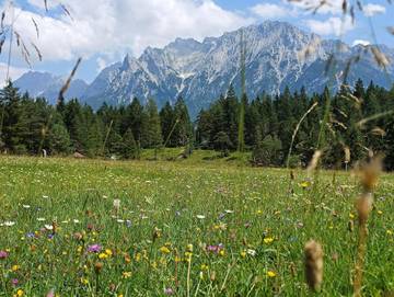 Ferienwohnung für 4 Personen in Mittenwald, Bayerische Alpen, Bild 2