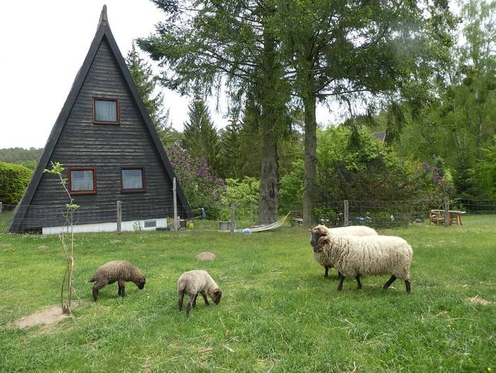 Ferienhaus mit 2 Schlafzimmer in Altglobsow, Großwoltersdorf