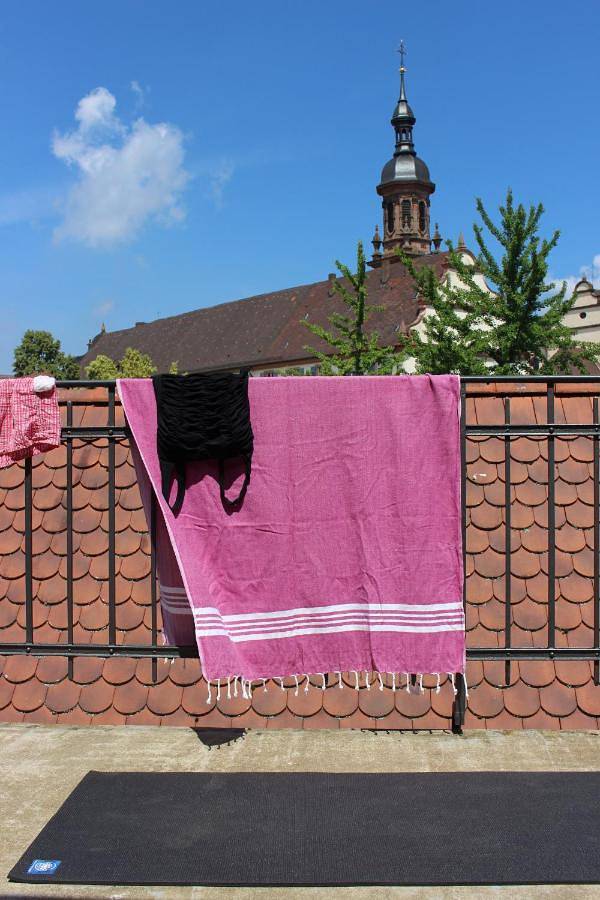 Ferienwohnung für 9 Personen, mit Garten und Ausblick in Gengenbach - 3