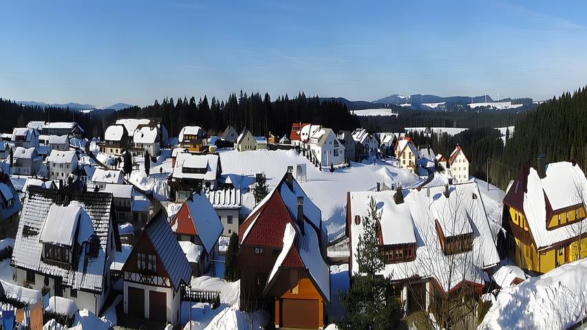 Hel lägenhet, Lägenhet för 3 Personer med trädgård in Furtwangen im Schwarzwald, Südschwarzwald