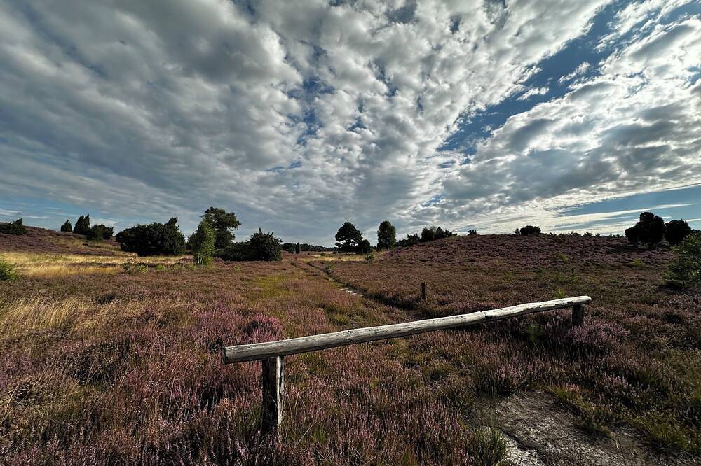 Stilvolle Landidylle in der Südheide. Natur pur! in Wittingen, Landkreis Gifhorn