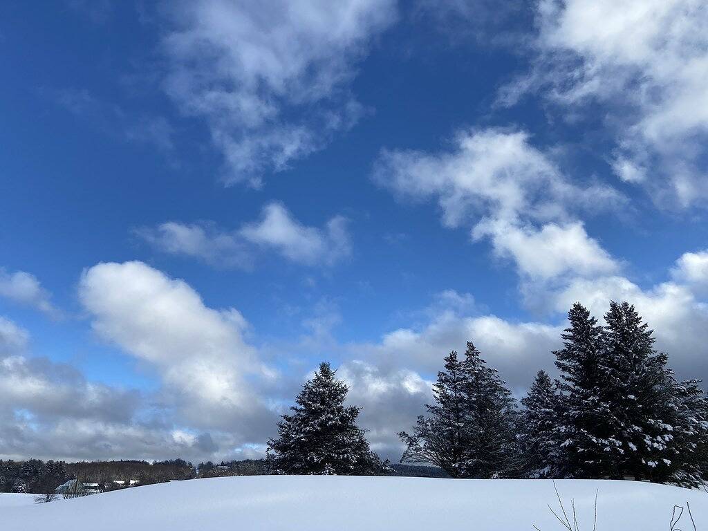 Cozy Lakeside Tiny Home, Near Skiing with hot breakfast, lunch included in Whitingham, Windham County