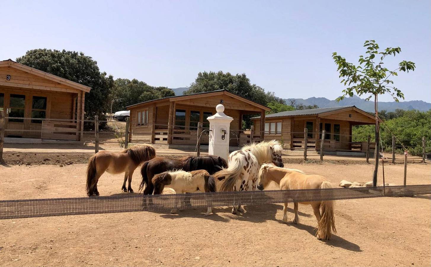  'Les Chalets De Tesa' avec vue sur la montagne, Wi-Fi et climatisation in Occhiatana, Région de Calvi