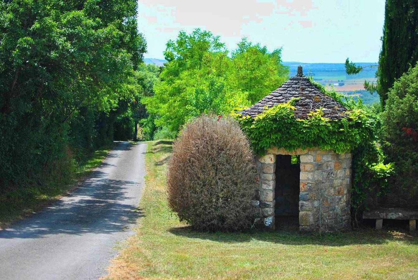 La Ferme de Quiers - Chambres d'hôtes - Rose in Compeyre, Parc naturel régional des Grands Causses