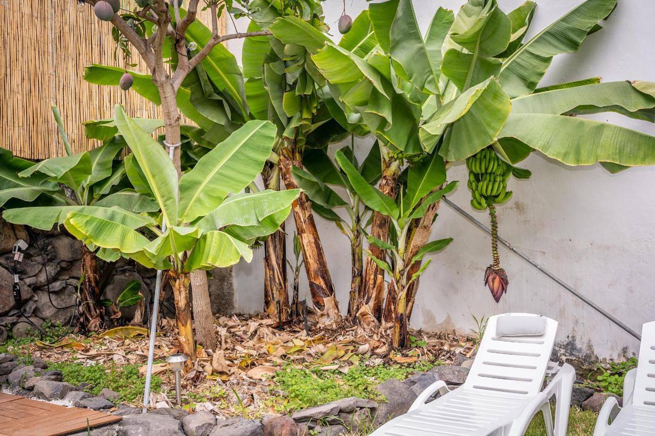 One-Bedroom House in Las Cabezadas, Hermigua