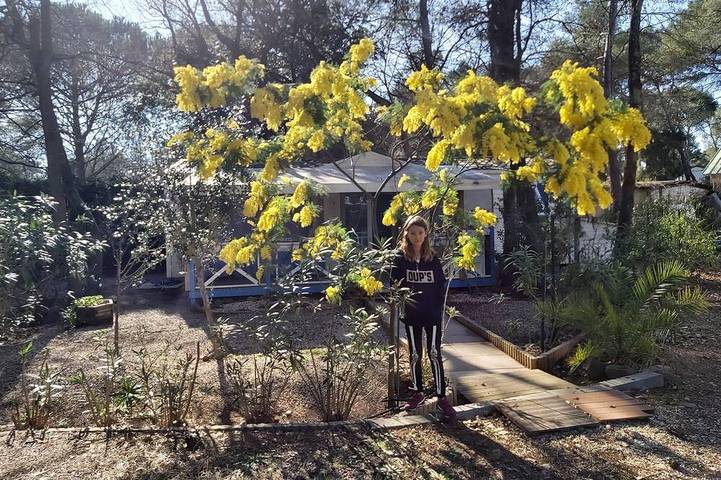 Wohnwagen für 8 Personen in der Provence - 4