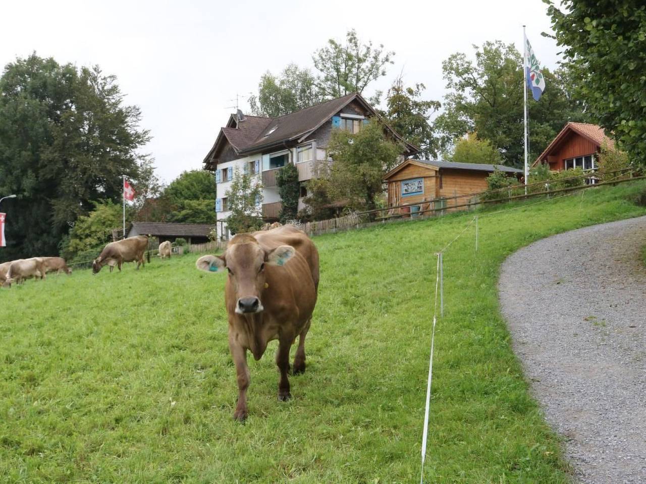 Ganze Wohnung, Panorama Blick in Egnach, Bodensee (Schweiz)