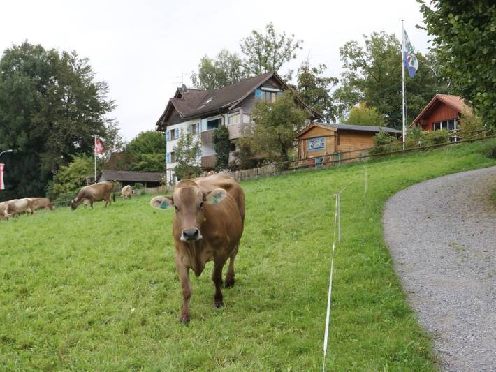 Ferienwohnung für 3 Personen, mit Terrasse und Garten - 1