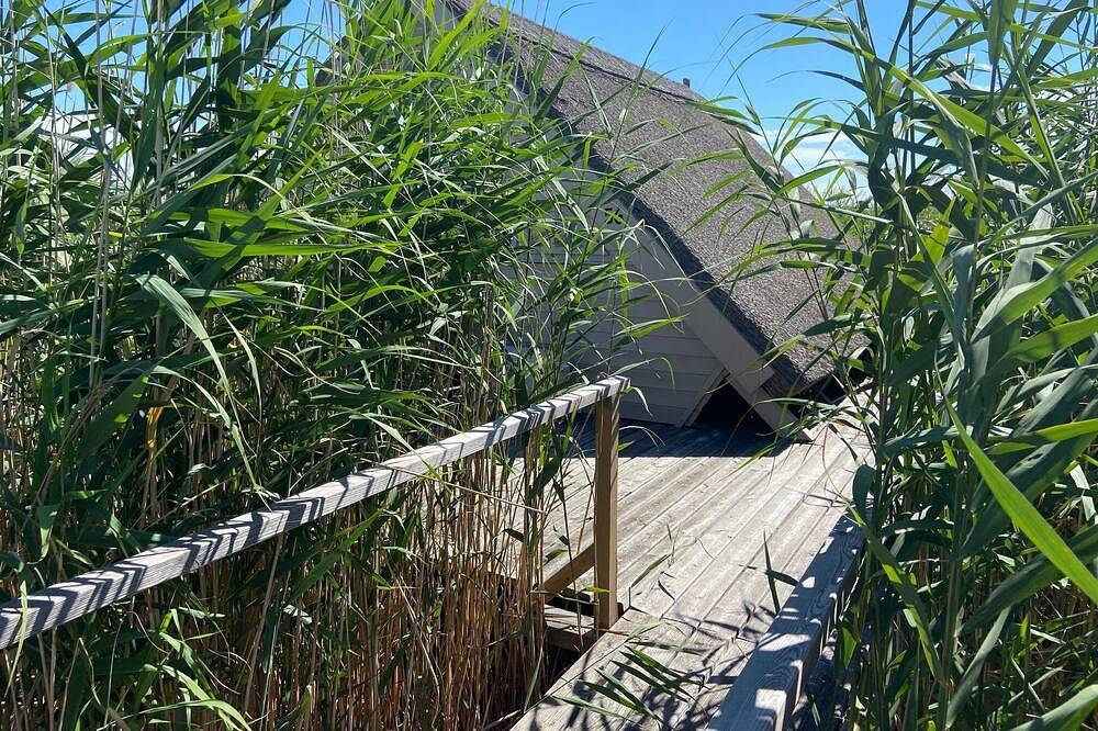 Log Cabin for 5 People in Rust (Burgenland), Burgenland