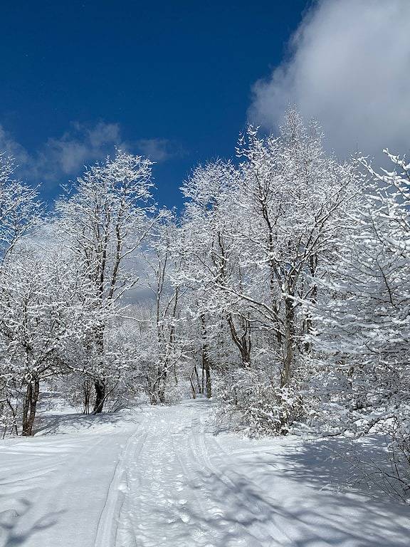 Vacation rental for 9 people, with yard and terrace in Lake Ontario
