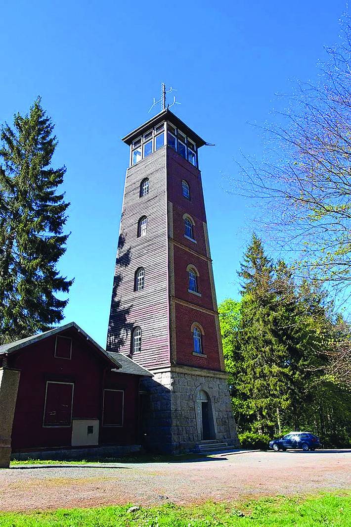 Daisy H B bis 2 - Standard in Stützengrün, Erzgebirge