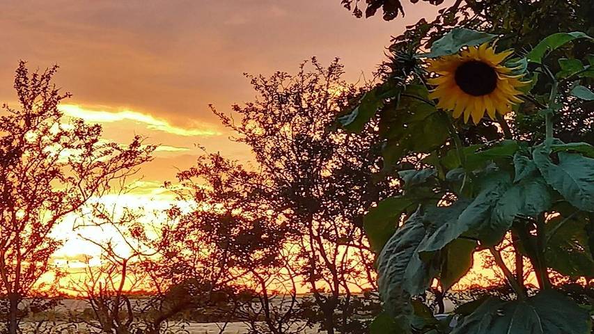 Ferienwohnung für 6 Personen, mit Garten in Højer - 3