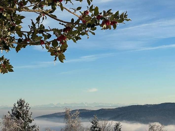 Gîte pour 2 personnes, avec vue ainsi que jardin et terrasse à Linthal - 4