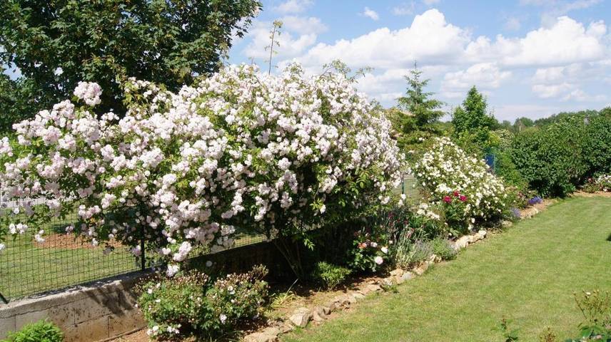 Location de vacances pour 2 personnes, avec vue et jardin à Le Caylar - 4