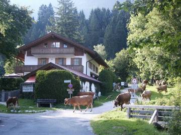 Ferienhaus für 8 Personen, mit Haustier in Garmisch-Partenkirchen