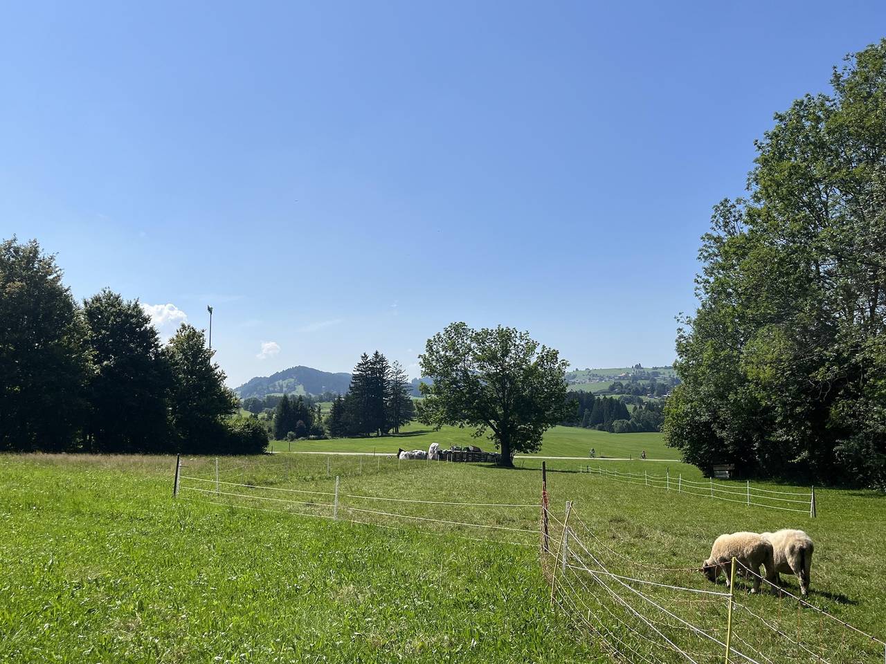 Ganze Ferienwohnung, Ferienwohnung mit Terrasse und Garten in Oy-Mittelberg, Bayerisch Schwaben