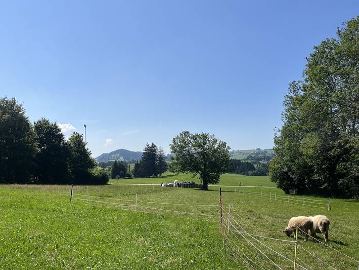 Ferienwohnung für 4 Personen, mit Garten und Terrasse, mit Haustier in Oy-Mittelberg - 2