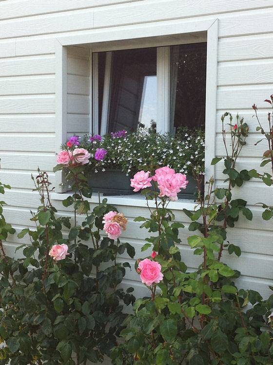 Gîte pour 2 personnes, avec jardin dans Orne - 2