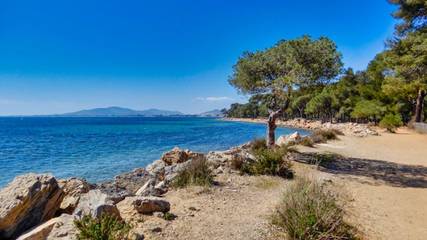 Camping für 2 Personen in Hyeres