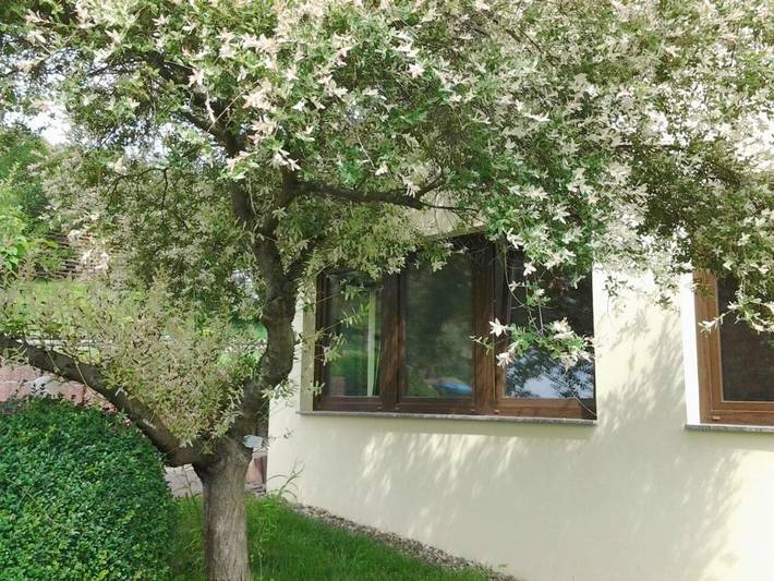 Ferienhaus für 4 Personen, mit Terrasse in Sangerhausen - 4
