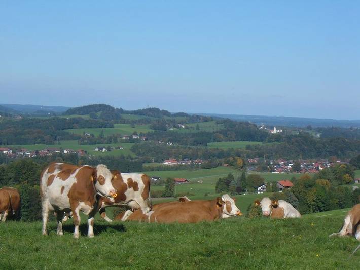 Bauernhof für 4 Personen, mit Garten in Landkreis Rosenheim - 2