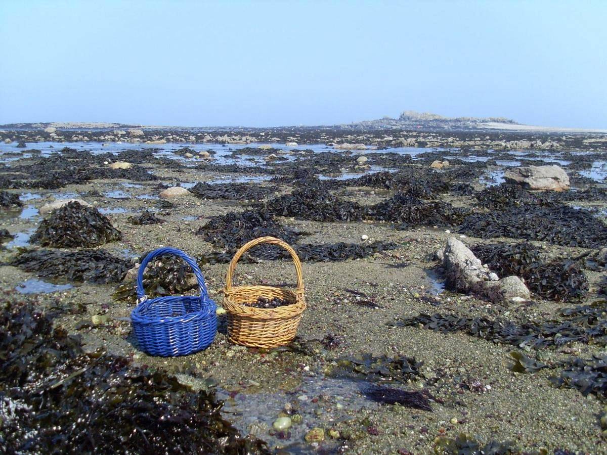 Cap sur Pen ar Valy à Plougoulm in Plougoulm, Ceinture Dorée
