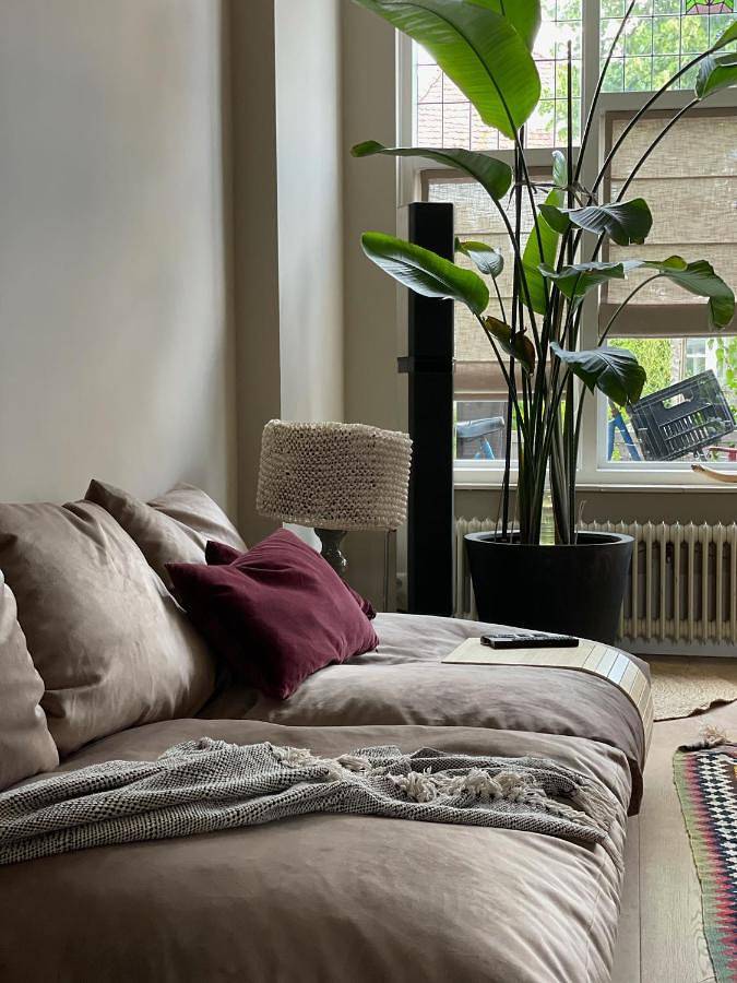 Gîte pour 6 personnes, avec jardin, animaux acceptés à Heemstede - 3