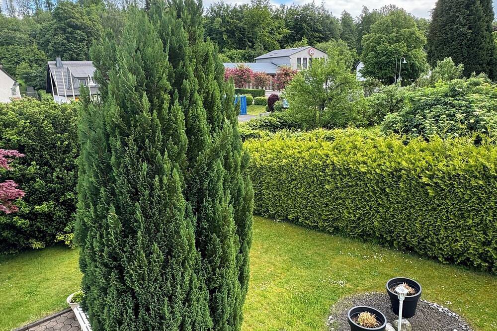 Ganze Wohnung, Ferienwohnung Sylt- Liebevoll Renovierte Zweizimmerwohnung in Meinerzhagen, Märkischer Kreis