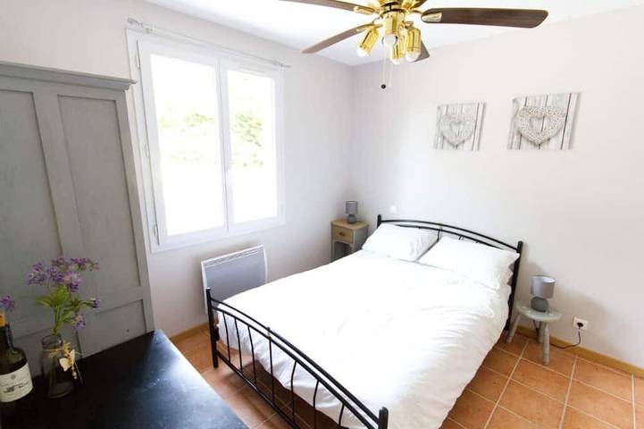 Location de vacances pour 8 personnes, avec jardin dans Grand étang de Saint-Estèphe - 4