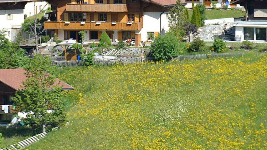 Hütte für 3 Personen, mit Garten und Balkon in Adelboden
