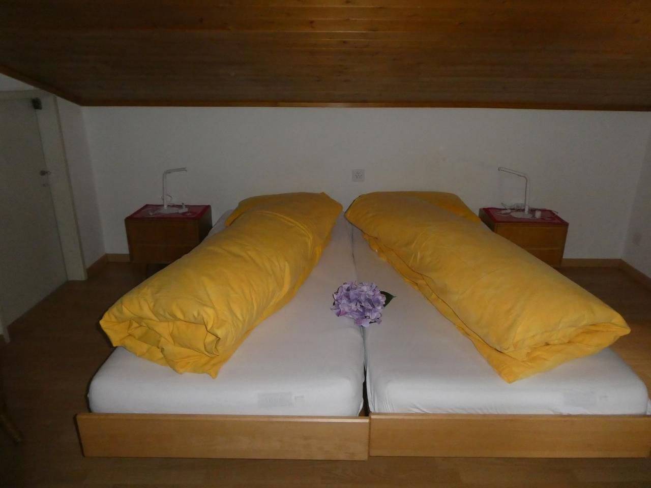 Ganze Wohnung, Carina 2 in Celerina, Sankt Moritz