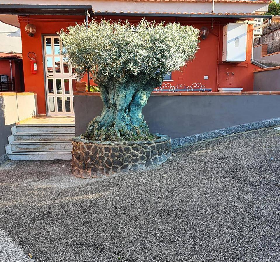 Bed & Breakfast Neapolis in Ercolano, Parco nazionale del Vesuvio